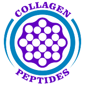 bovine-collagen-peptides